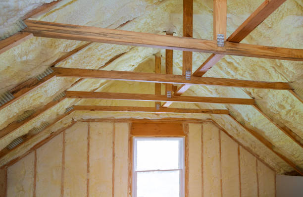 Best Residential Insulation in Choudrant, LA